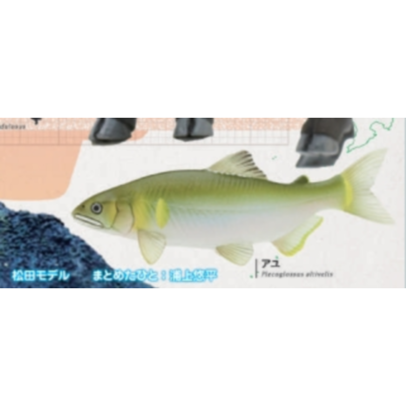 Japan Ikimon Gashapon Capsule  - Capsule Toy Gashapon recension och pris